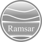 gris_ramsar